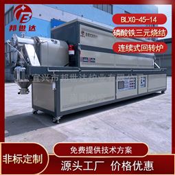 连续式气氛烧结炉 催化剂粉体回转炉 工业炉