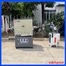 BJXG-20-10水蒸汽活化炉 间歇式回转炉 新材料实验炉